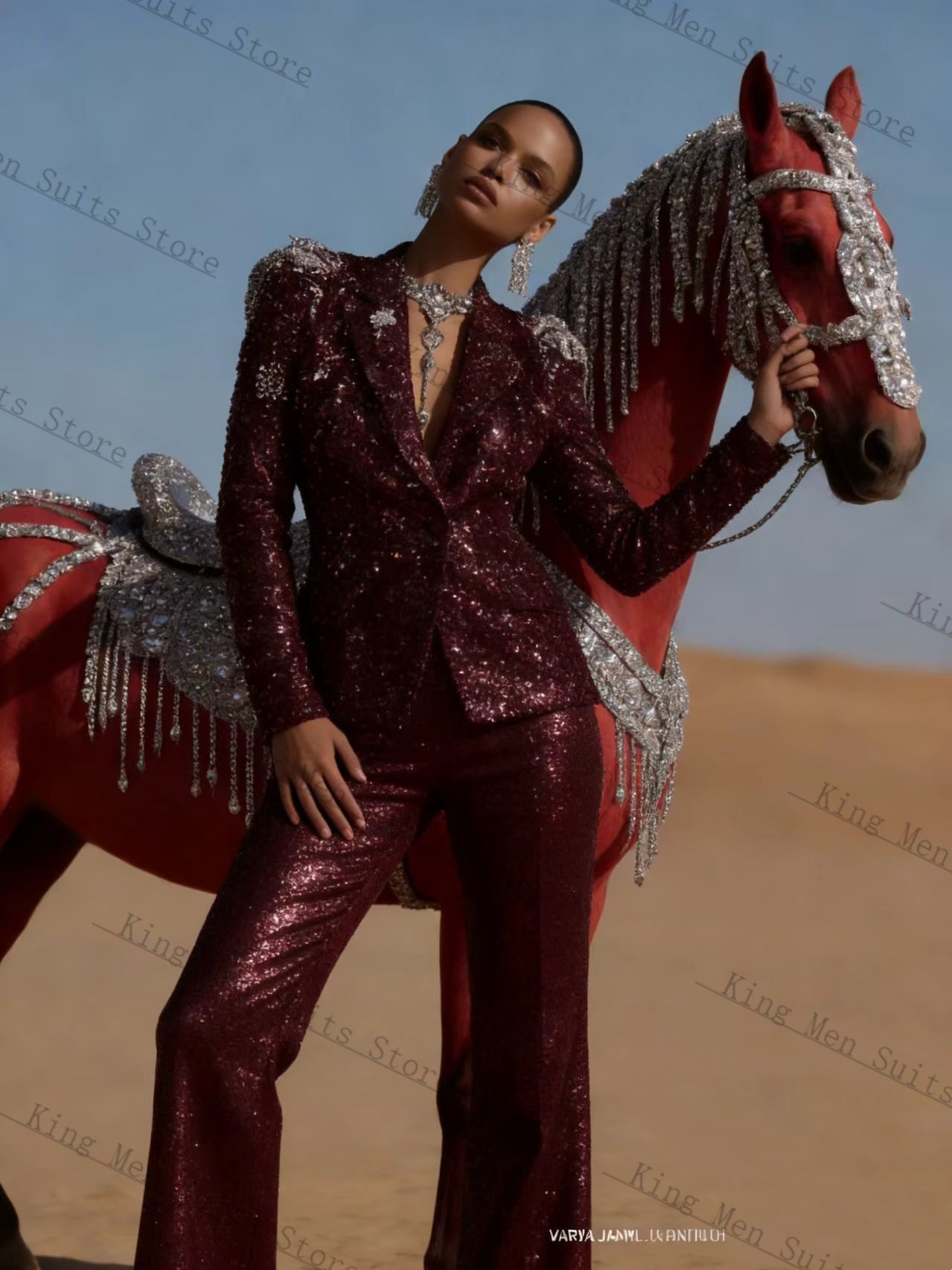 Burgundy Shiny Women Suit Set  - Women'S Formal Wear Tuxedo review and price