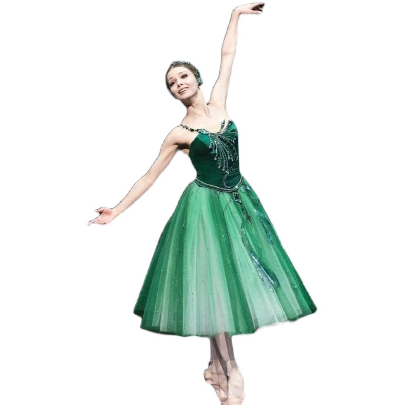 Children Ballet Skirt Swan Lak - Women'S Green Formal Wear review and price